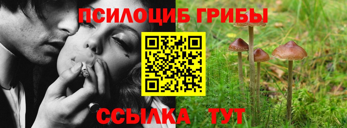 Псилоцибиновые грибы мицелий  наркота  Новочебоксарск  Вход с VPN 